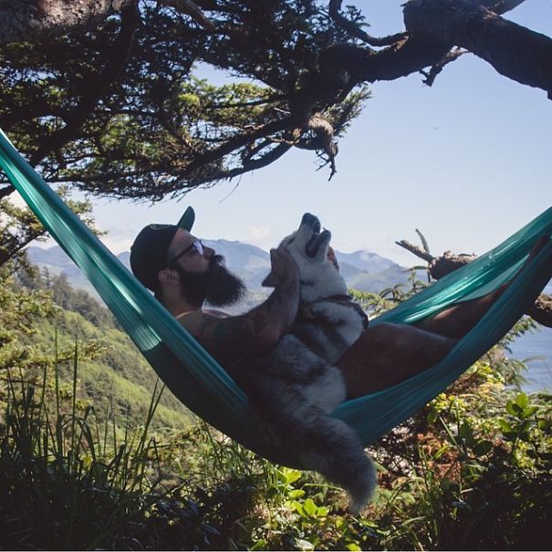 Camping With Dogs