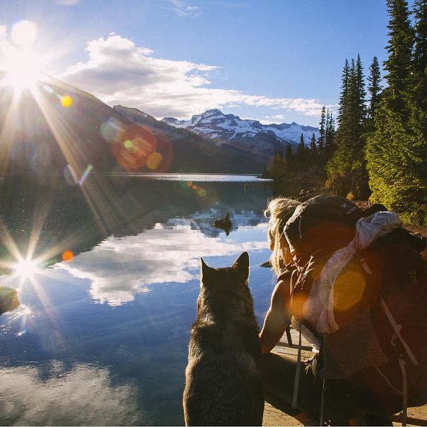 Camping With Dogs