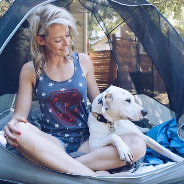 Camping With Dogs