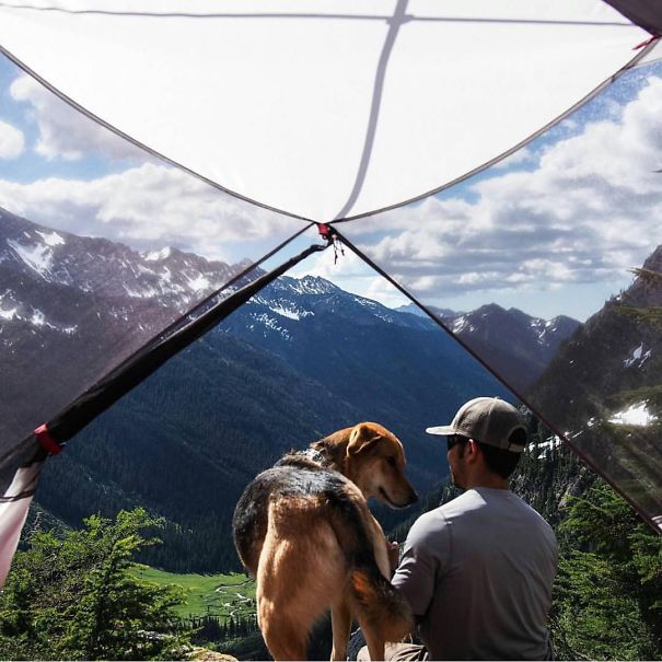 Camping With Dogs