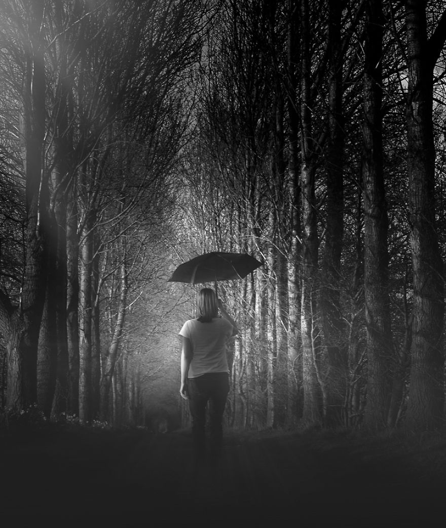 Trees! Don't Just Pass Them By Trees! Don't Just Pass Them By