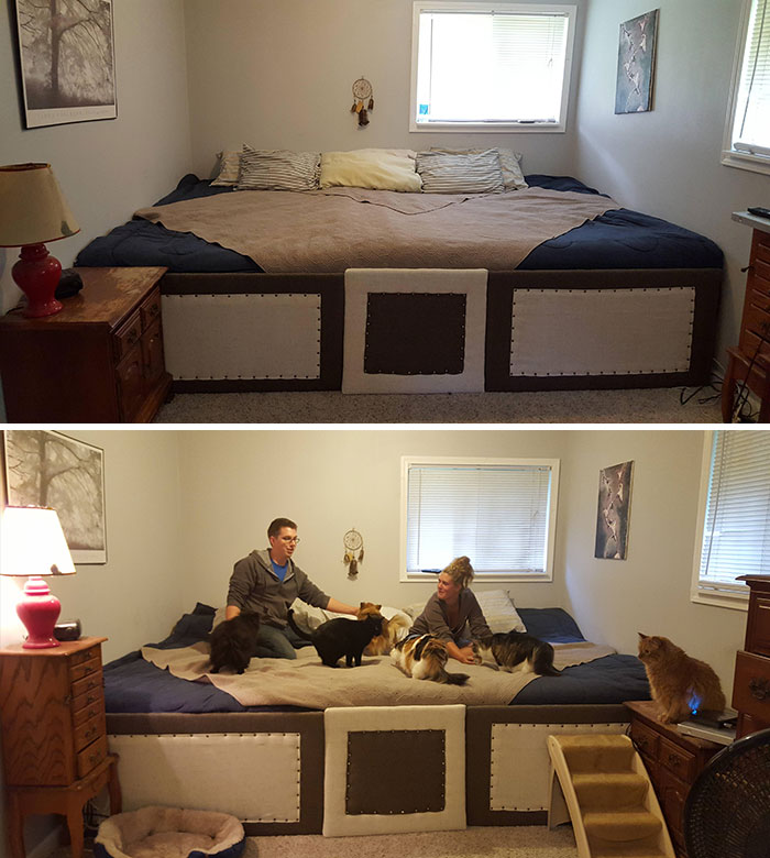 Couple Has 5 Cats And 2 Dogs That All Love To Sleep In Bed So They Made A 11ft Mega Bed