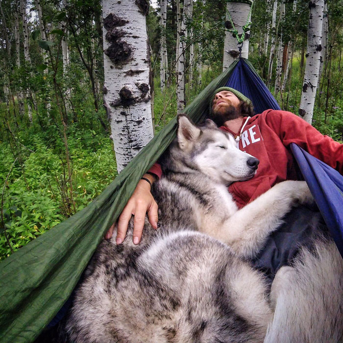 I Take My Wolfdog On Epic Adventures Because I Hate To See Dogs Locked Away
