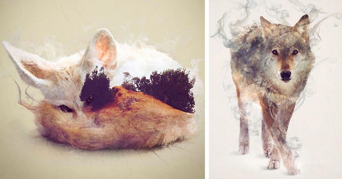 Wild Animals, Smoke And Nature Merged In My Double Exposure Photos