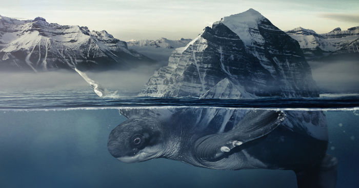 I Combine Wildlife And Urbanism Into Surreal Art