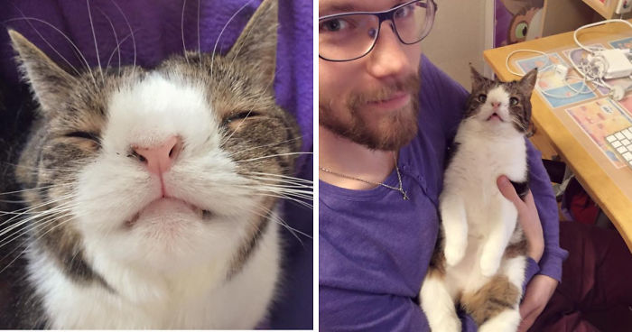 Our Cat Monty Is Not Perfect But Pawsome!