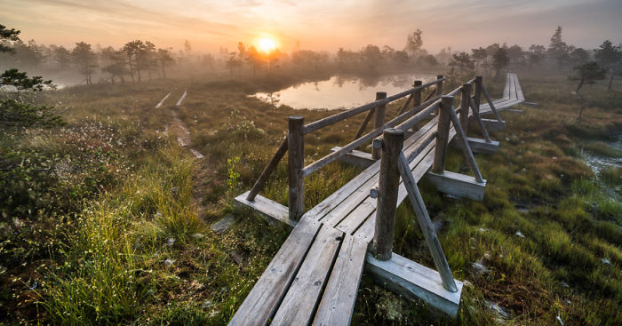 Magical Autumn Fog In Over 8000-Year-Old Kemeri Bog