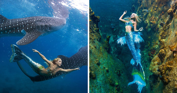 A Real-Life Mermaid Who Swims With Sharks Using Her Fish Tail And Holds Breath For 2 Minutes