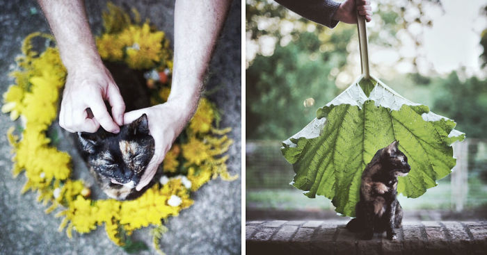 A Summer With A Cat: Why You Shouldn’t Leave Your Cat At Home During Vacation