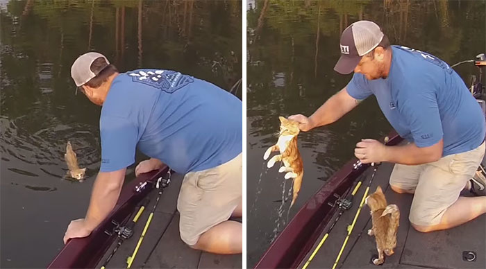 Two Guys Went Fishing But Ended Up Catching Abandoned Kittens