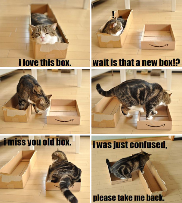 Cat Logic