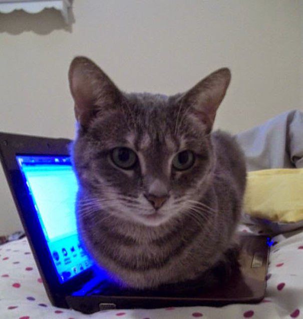 Comfortable Place To Sit