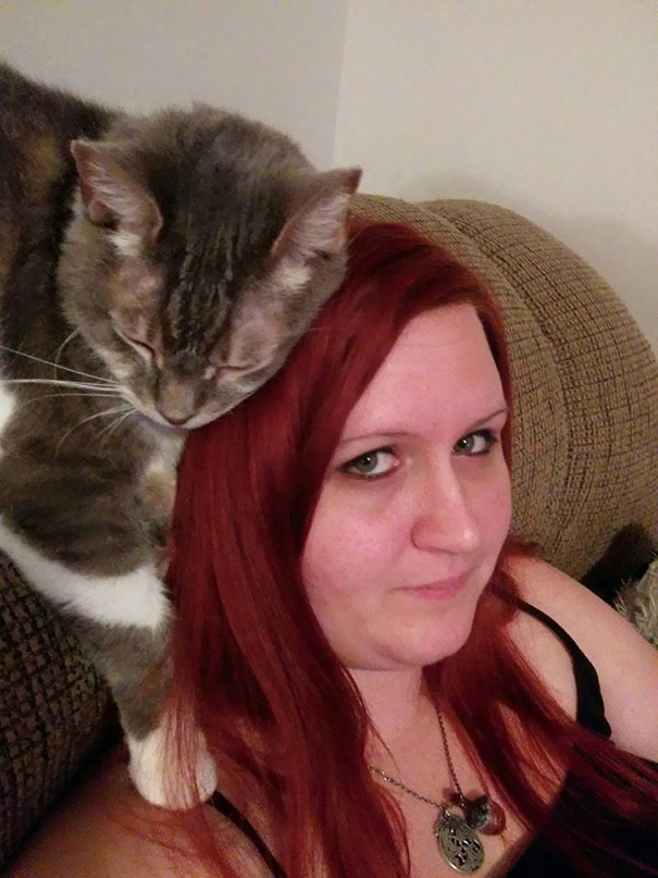 My Cat Is Almost A Hat