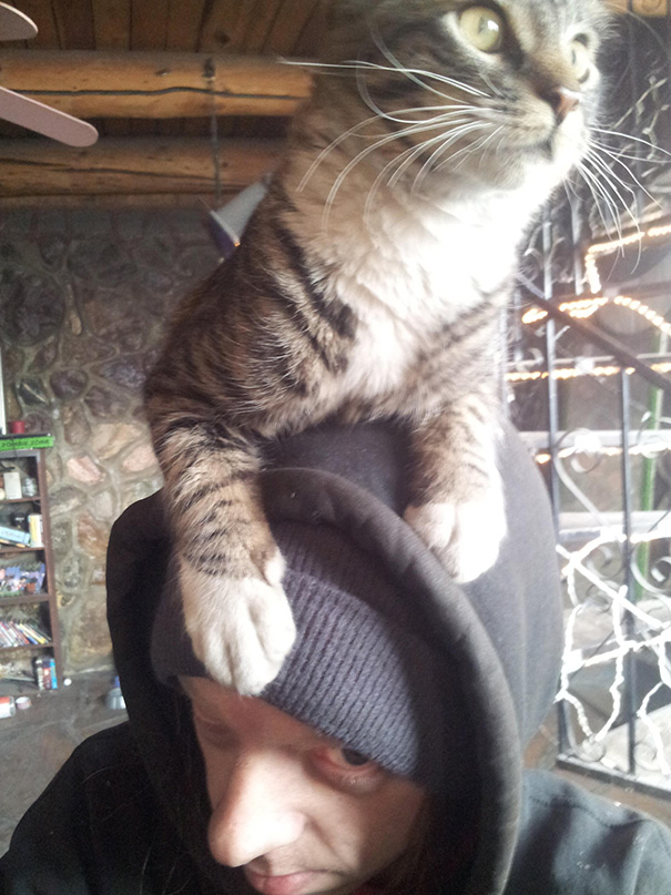 This Is My Kitty Cat Floyd As My Hat