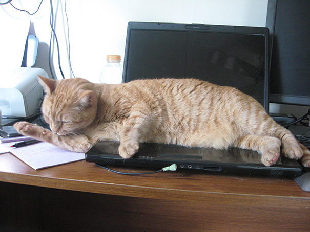 Comfortable Place To Sit