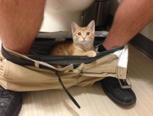 Almost 6 Months Old And Still A Daily Ritual