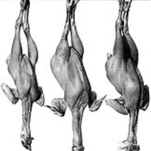 sven.hartmann.frankfurt avatar