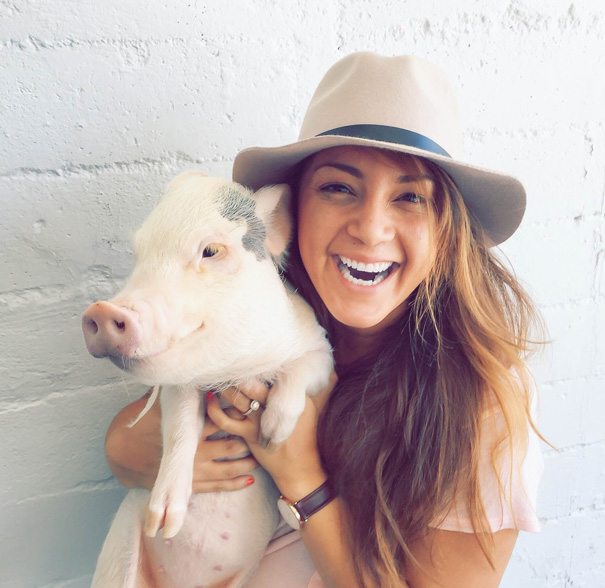 hamlet-piggy-ctute-animals-mini-pig-49