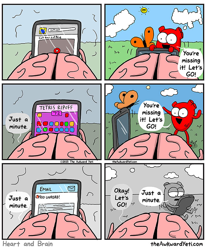 Heart And Brain