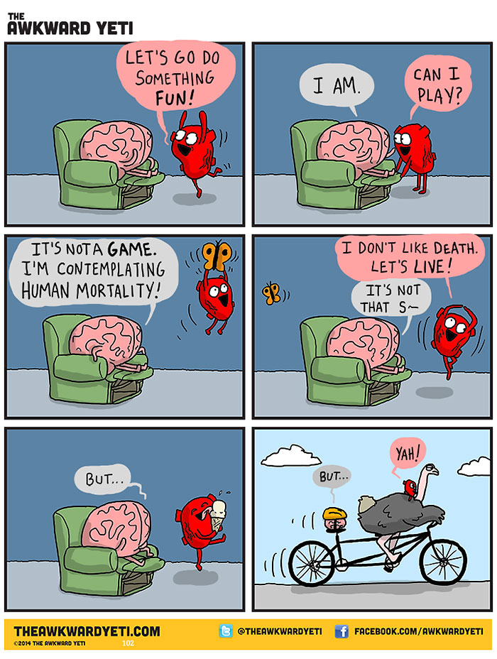 Heart And Brain