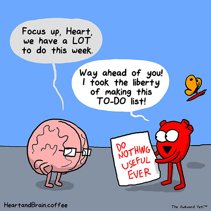 Heart And Brain