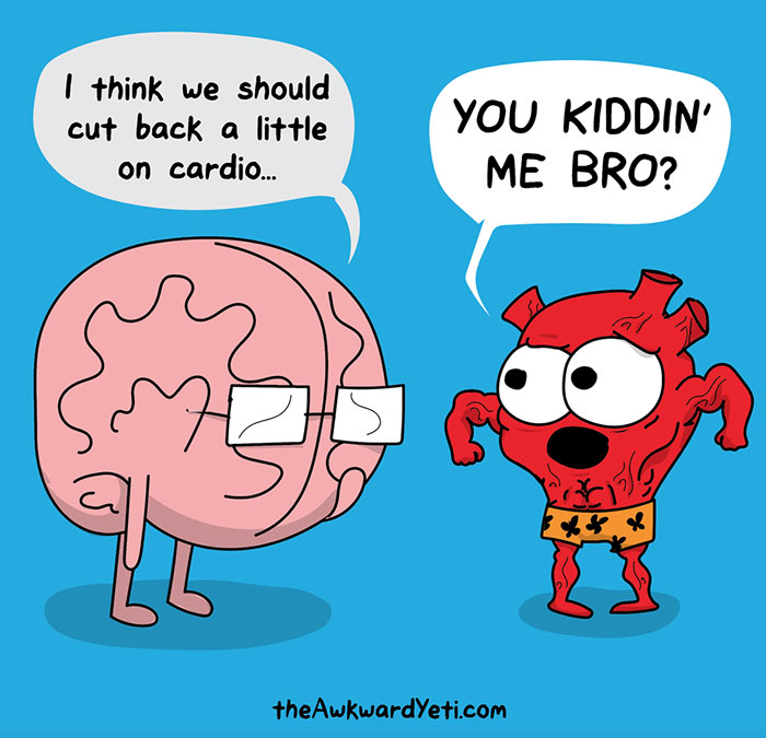 Heart And Brain