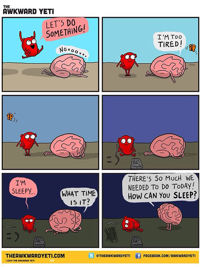 Heart And Brain