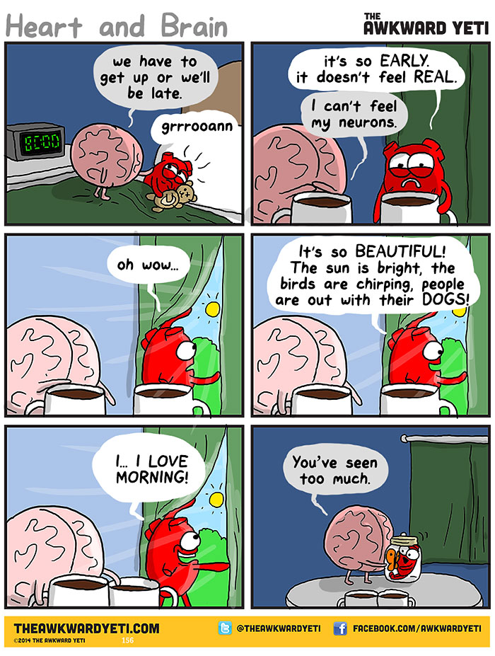 Heart And Brain