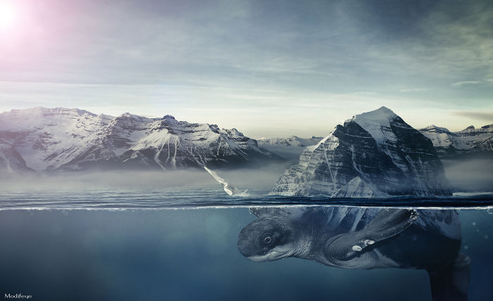 I Combine Wildlife And Urbanism Into Surreal Art