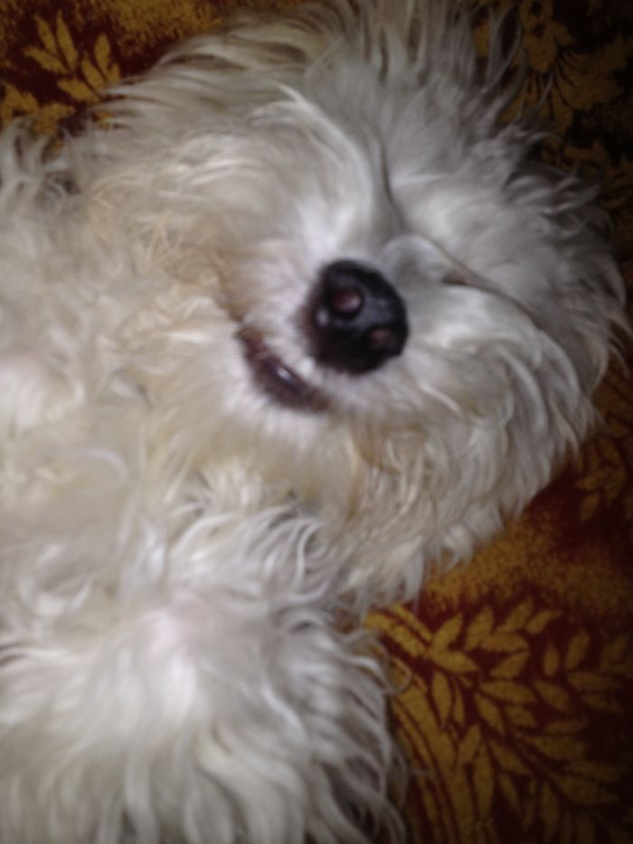 So Happy The Weekend Is Here!