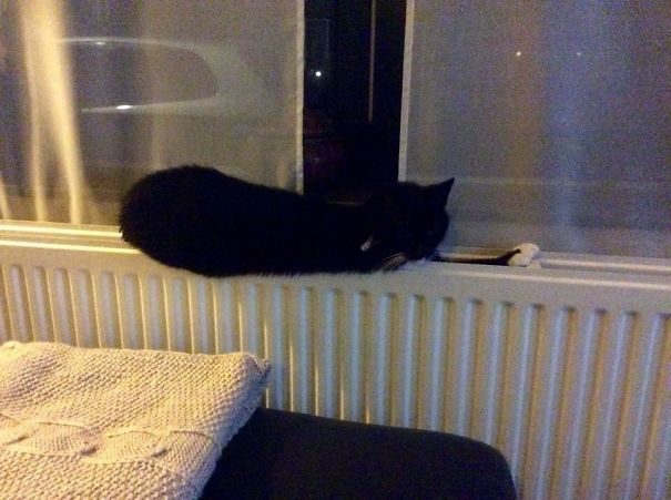 This Is As Good As Any Place