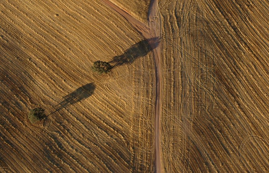 Field From A Balloon