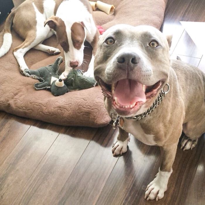 Did You Say It's Friday?!