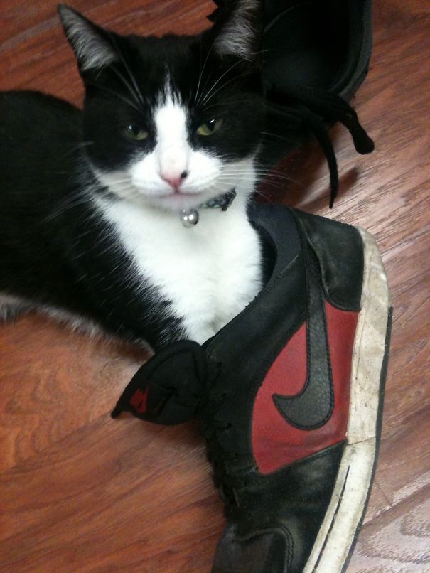 This Belongs To Me Now