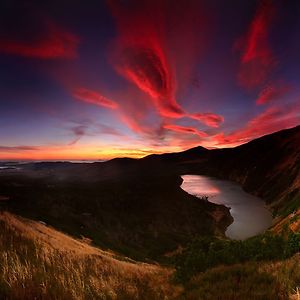 Mary Ann gray avatar