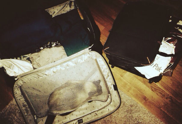 Traveling For Christmas