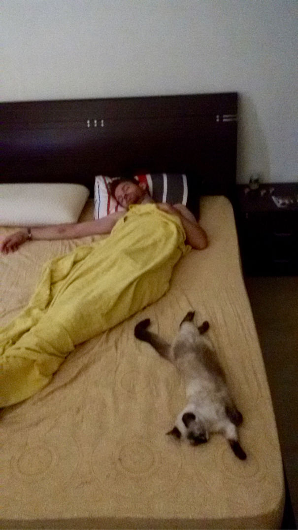 Copy Paste Sleeping Style