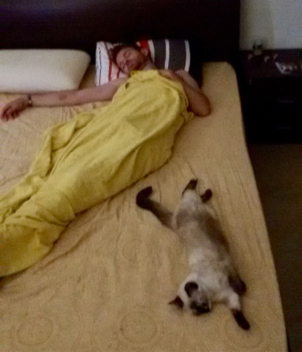 Found Them Like This Taking A Nap. A Girl Always Takes From Her Father.