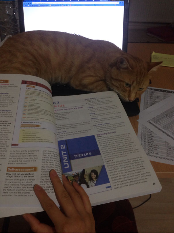 Well Those Kids Don't Have To Learn All The Time