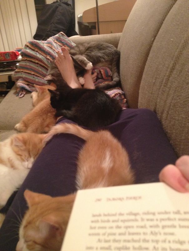 Don't Worry Guys... It's Not Like I Ever Need To Move My Legs Again... Or Go To The Bathroom