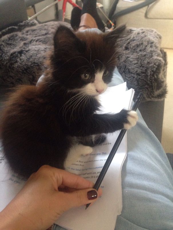 No Worries! I'll Help You To Study!