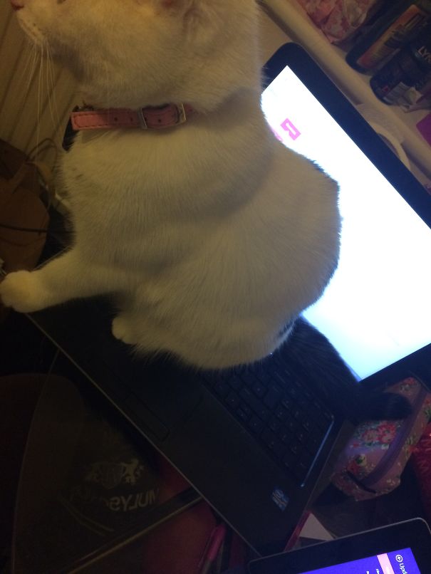 Forget Uni Work Mummy