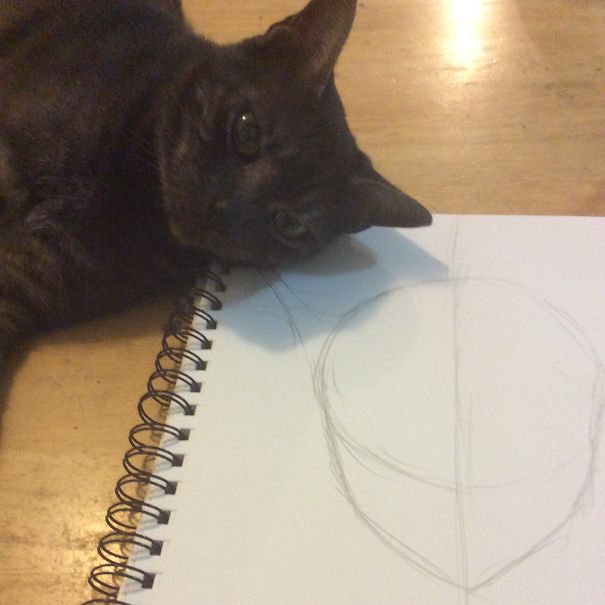 What Are You Drawing? Can It Wait?