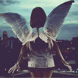 archerygirl094 avatar