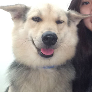 kieuoanhtran.0209 avatar