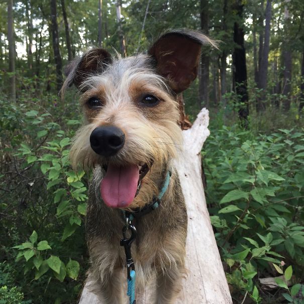 Best Adventure Buddy Ever!