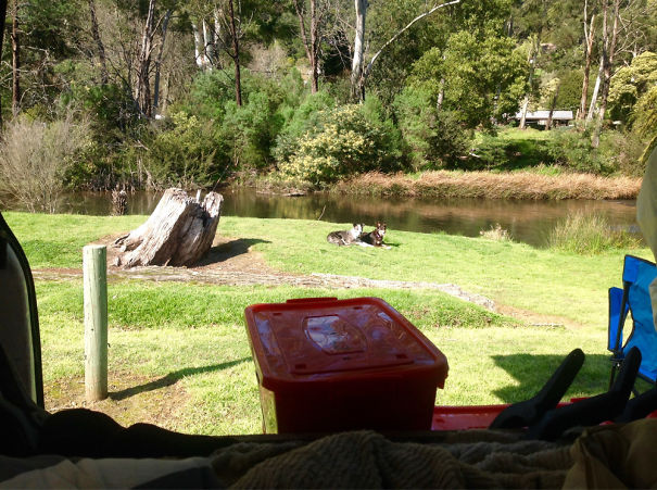 My View This Morning. Aussie Steve