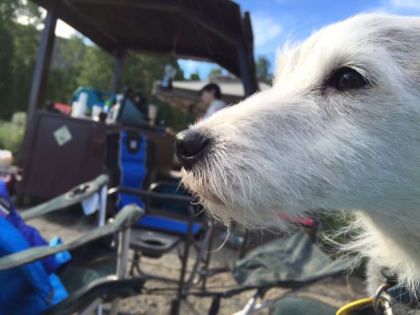 Sport. Mcgee Creek Canyon