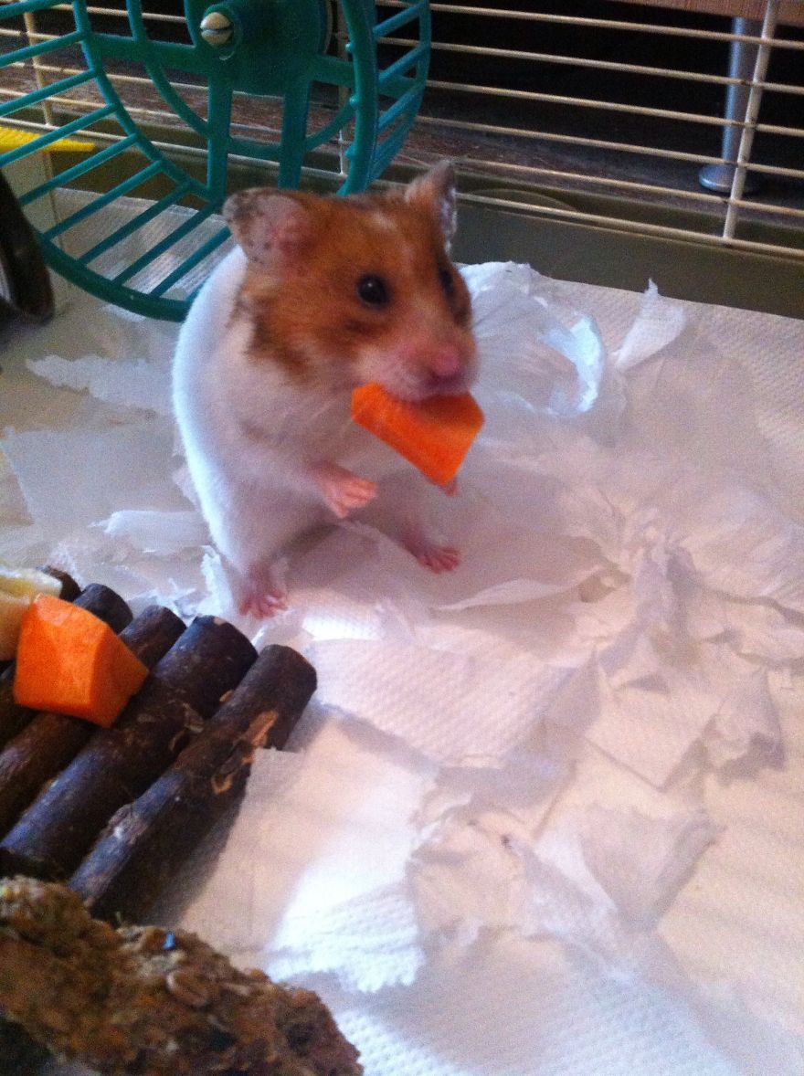 Lu Eating Her Healthy Snack