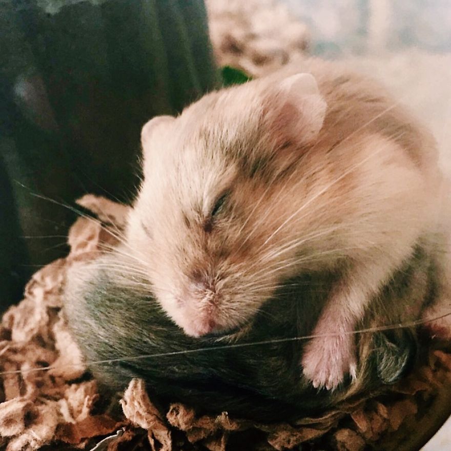 Lillie Feeding Her Baby